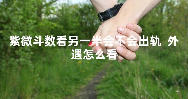 紫微斗数看另一半会不会出轨  外遇怎么看